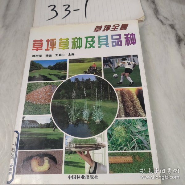 草坪全景：草坪草种及其品种