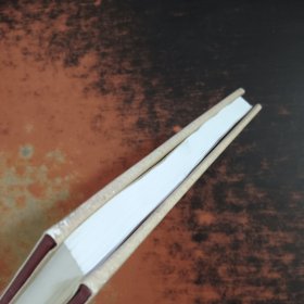 中国经济发展中的资本问题研究