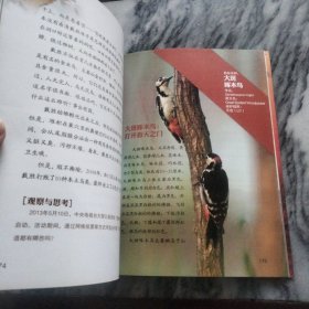自然观察: 我的湿地鸟类朋友
