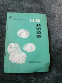 甘蓝栽培技术