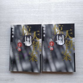 现货《惊天铁案（上下）》