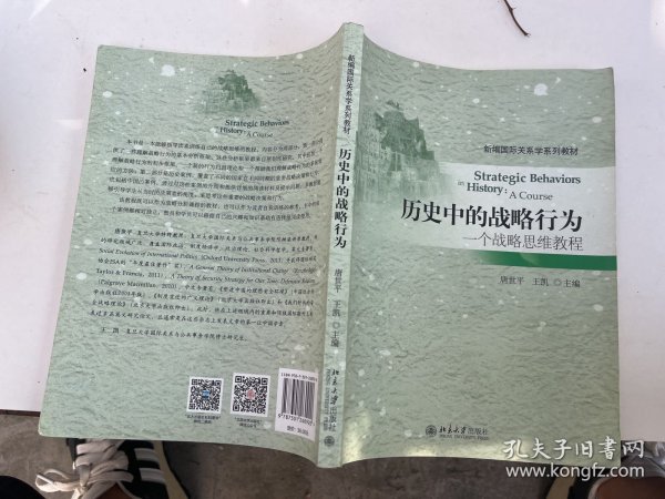 历史中的战略行为：一个战略思维教程