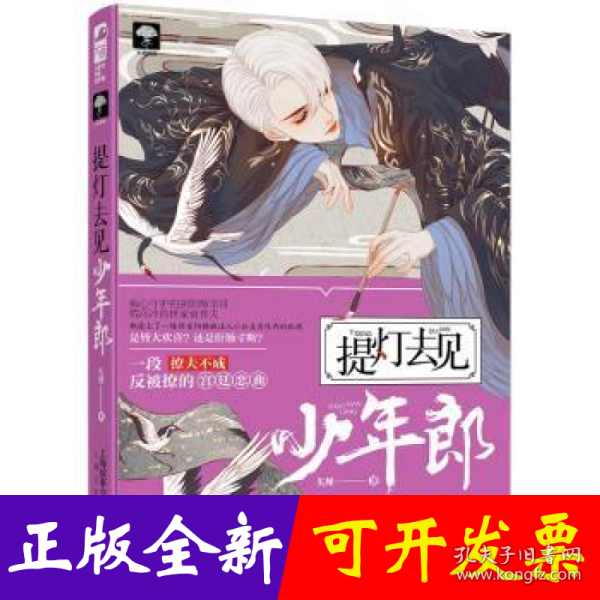 提灯去见少年郎