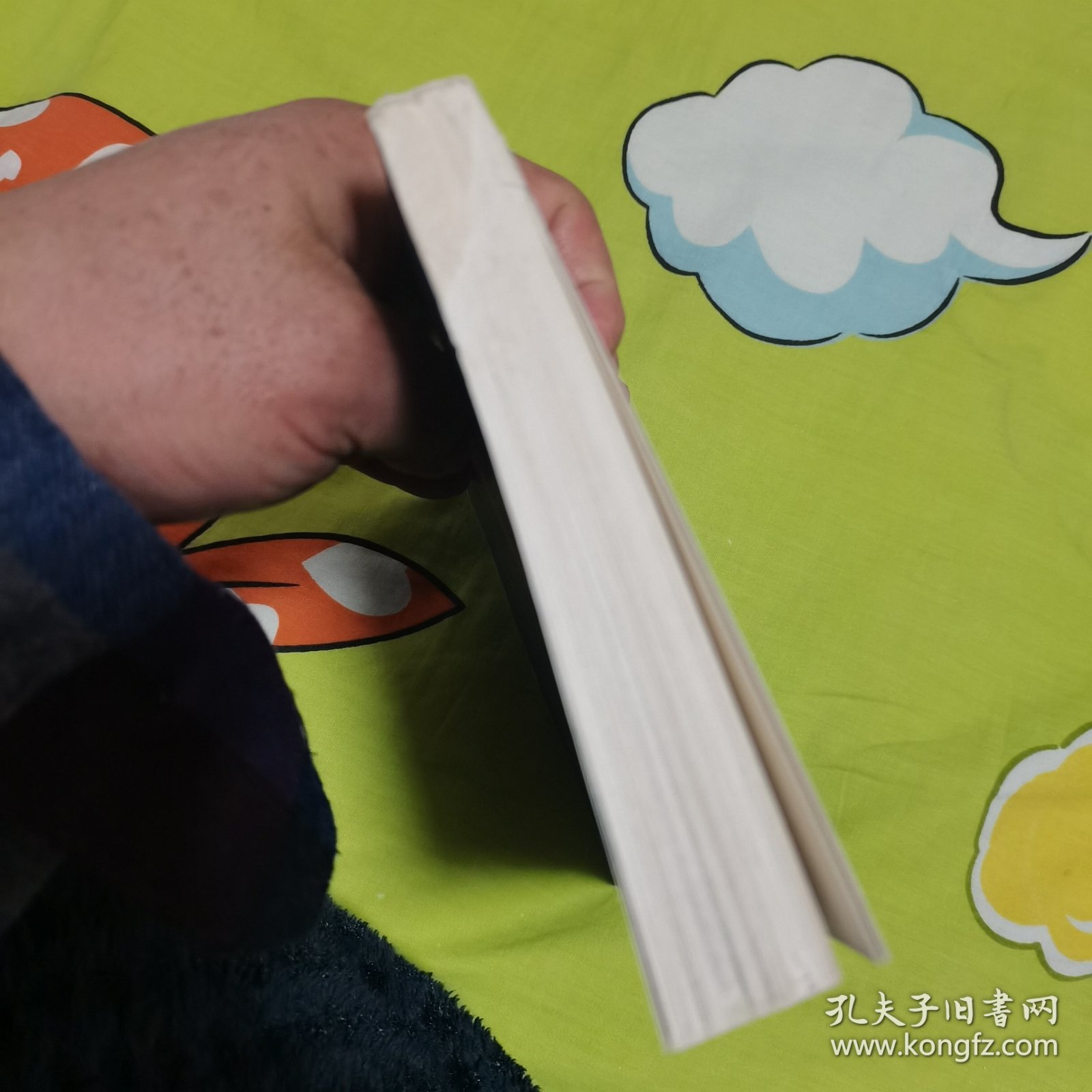 另一种生活