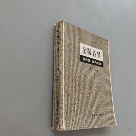 金陵春梦第四集
