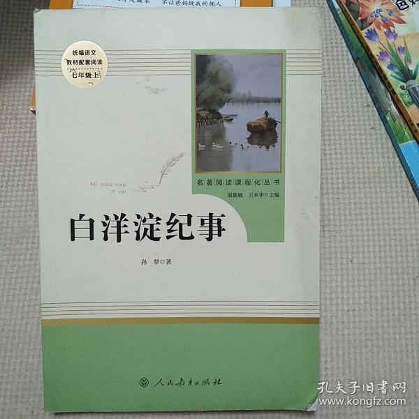 白洋淀纪事 名著阅读课程化丛书（统编语文教材配套阅读）七年级上