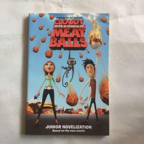 CLOUDY WITH A CHANCE OF MEAT BALLS   JUNIOR NOVELIZATION