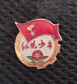 五好少年纪念章
