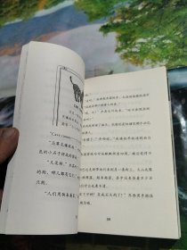 阁楼里的秘密（全6册）