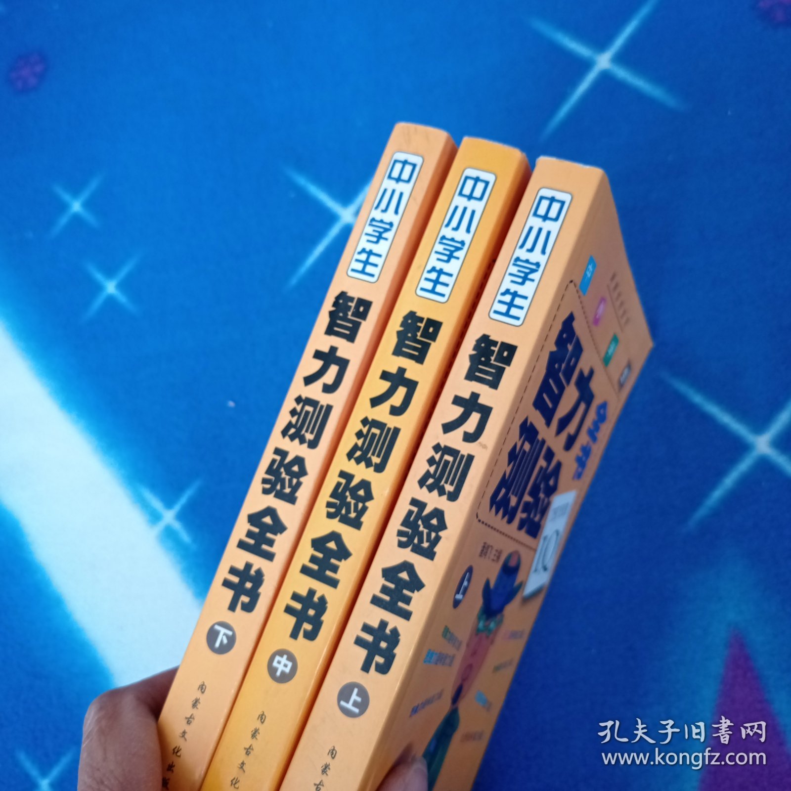 中小学生智力测验全书上中下