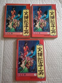 武侠小说，火拼花子窝 1.2.3（全三册）