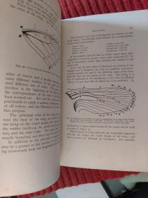 A Manual For The Study Of Insects (1895)【金陵大学馆藏。藏书票一枚】