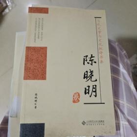 当代文学与文化批评书系：陈晓明卷