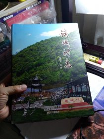 镇城村志