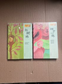 红树林+四十一炮：莫言作品系列（两本合售 全新未开封）