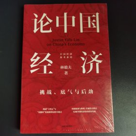 论中国经济：挑战、底气与后劲