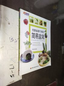 悠生活·快乐手工坊系列：创意盆器巧搭配简易盆栽