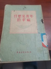 什么是青年的幸福