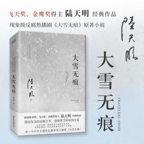 苍天在上（国家图书奖、飞天奖、金鹰奖得主陆天明经典作品，反腐题材电视剧《苍天在上》原著小说）