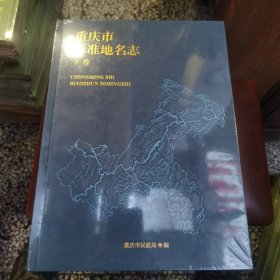 重庆市标准地名志（下）