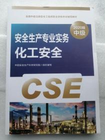 全国中级注册安全工程师职业资格考试辅导教材：安全生产专业实务 化工安全（2020版中级