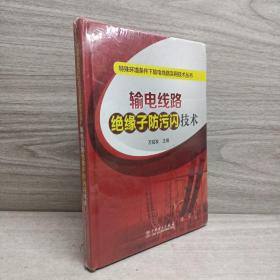 特殊环境条件下输电线路实用技术丛书 输电线路绝缘子防污闪技术