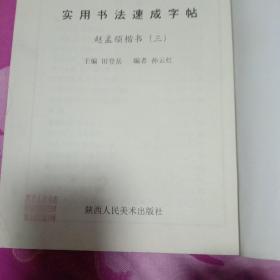 实用书法速成字帖.赵孟頫楷书