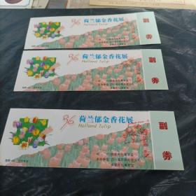 96荷兰郁金香花展如图随机一张