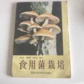 食用菌栽培