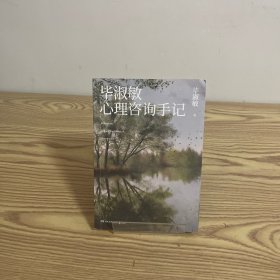 毕淑敏心理咨询手记（知名心理咨询师毕淑敏代表作，31个震撼人心的心理咨询案例）