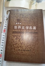 世界文学名著连环画一套缺2册实物图片按图发货偏远地区邮费再议