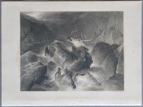 【弗农画廊系列、附资料页】1851年 钢版画《雄鹿之死，THE DEATH OF THE STAG》