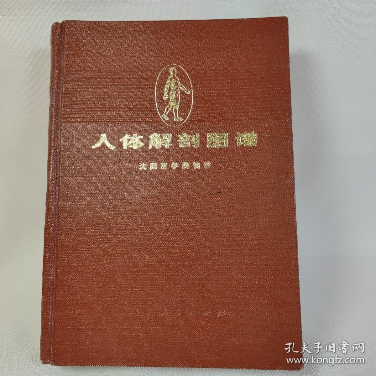 人体解剖图谱1973年