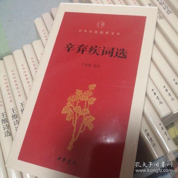 辛弃疾词选（中华经典指掌文库）