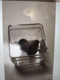 （一））古代青铜印19999 有类似家族徽记 封泥印的前期 估计春秋前 保真