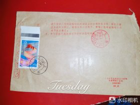 T154中国电影带色标实寄封