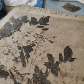 国画报纸剪辑Ⅱ张