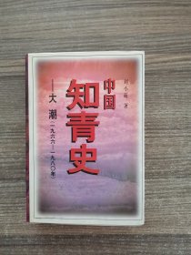 中国知青史—大潮