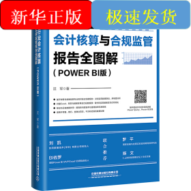 银行业会计核算与合规监管报告全图解(Power BI版)