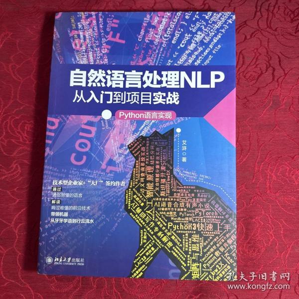 自然语言处理NLP从入门到项目实战：Python语言实现