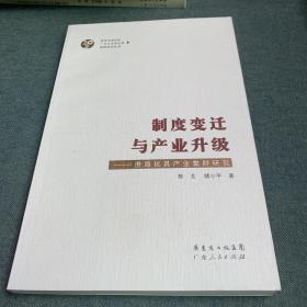 制度变迁与产业升级：澄海玩具产业集群研究