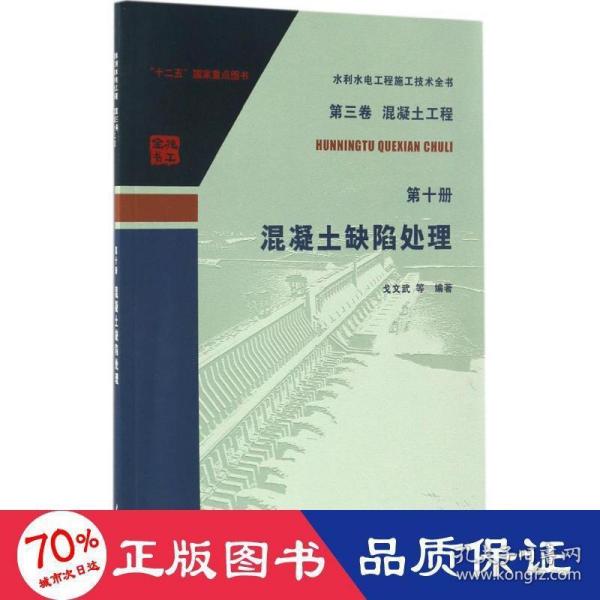 水利水电工程施工技术全书（第三卷）·（混凝土工程 第十册）：混凝土缺陷处理