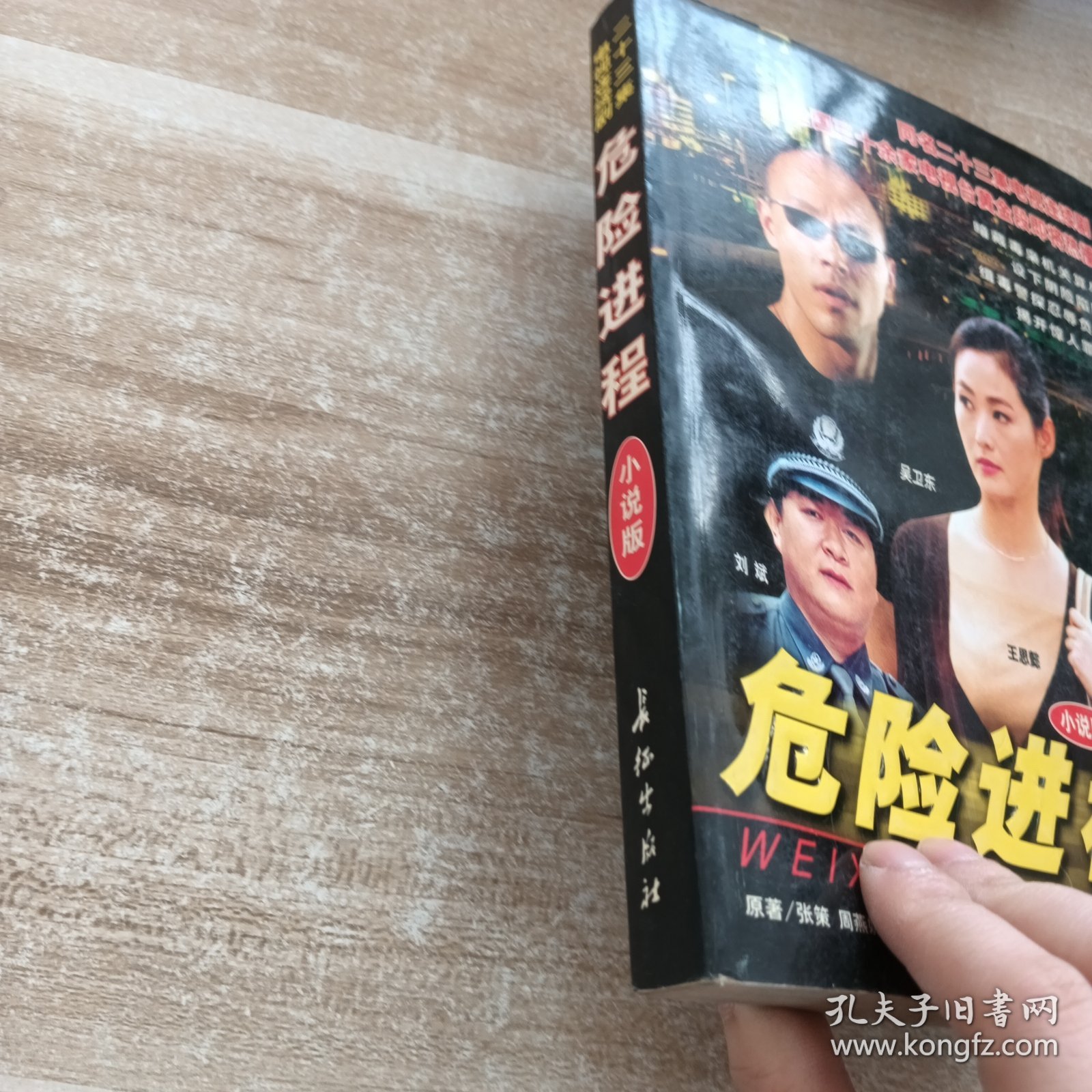 危险进程(小说版)(二十三集电视连续剧)