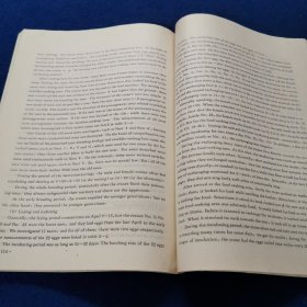 兴凯湖自然保护区