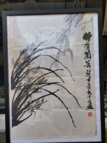 萧龙士兰草竹子 包老包真