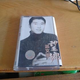 望乡 满文军  磁带