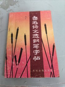 鲁迅诗文选钢笔字帖