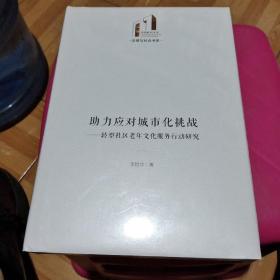 助力应对城市化挑战：转型社区老年文化服务行动研究