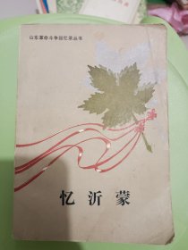 忆沂蒙(上)  山东革命斗争回忆录丛书