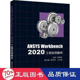 ansys workbench2020工程实例解析 大中专理科计算机 作者